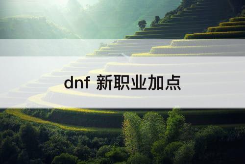 dnf 新职业加点