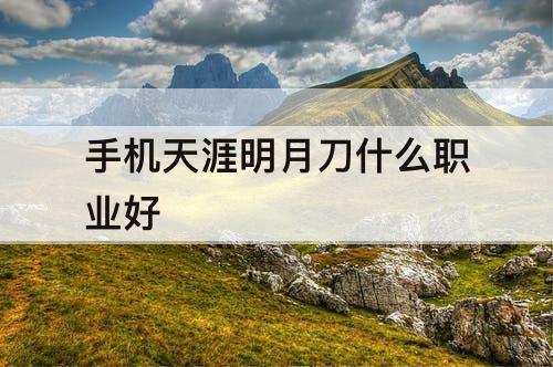 手机天涯明月刀什么职业好
