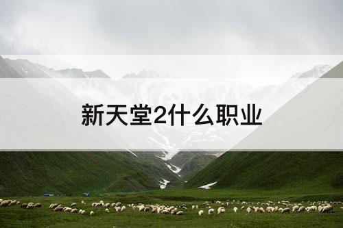 新天堂2什么职业