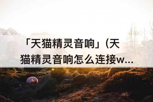 「天猫精灵音响」(天猫精灵音响怎么连接wifi苹果)