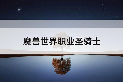魔兽世界职业圣骑士
