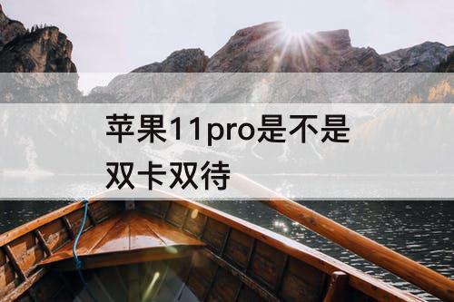 苹果11pro是不是双卡双待