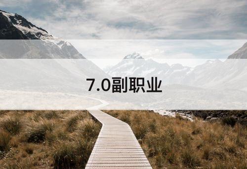 7.0副职业