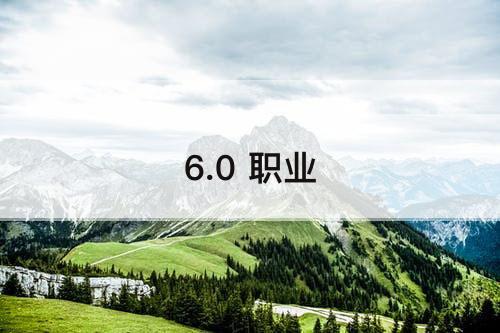 6.0 职业