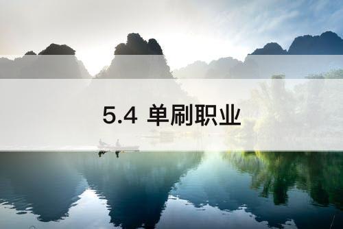 5.4 单刷职业