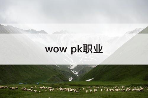 wow pk职业