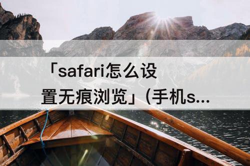 「safari怎么设置无痕浏览」(手机safari怎么设置无痕浏览)