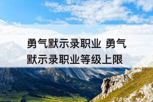 勇气默示录职业 勇气默示录职业等级上限