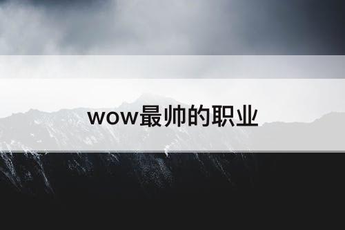wow最帅的职业