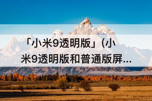 「小米9透明版」(小米9透明版和普通版屏幕一样吗?)