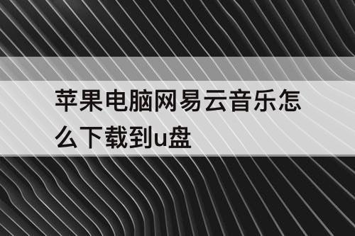 苹果电脑网易云音乐怎么下载到u盘