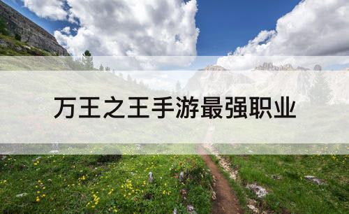 万王之王手游最强职业