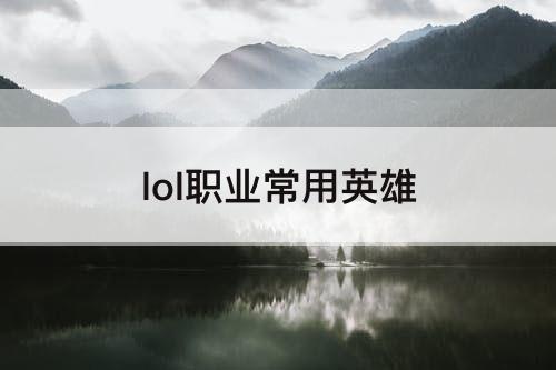 lol职业常用英雄