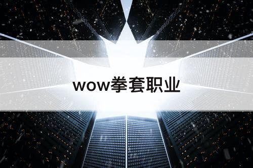 wow拳套职业