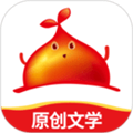 地下城与勇士M韩服