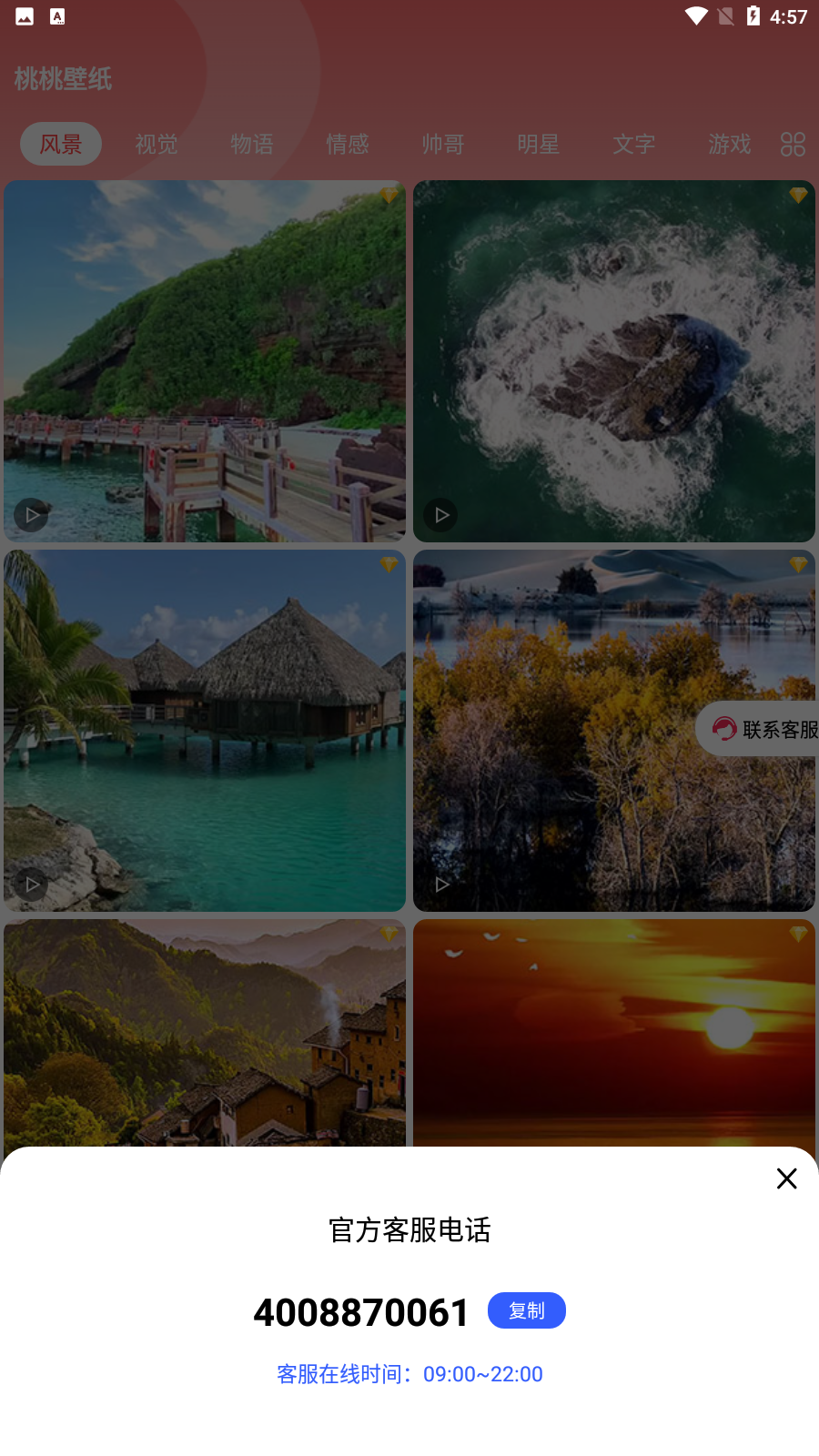 桃桃壁纸  v1.0.0图2