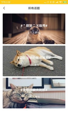 萌物链  v1.0图1