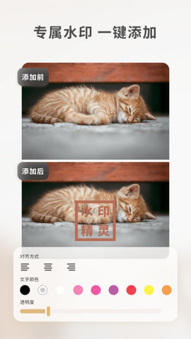 乐其爱水印精灵  v1.1.0图1