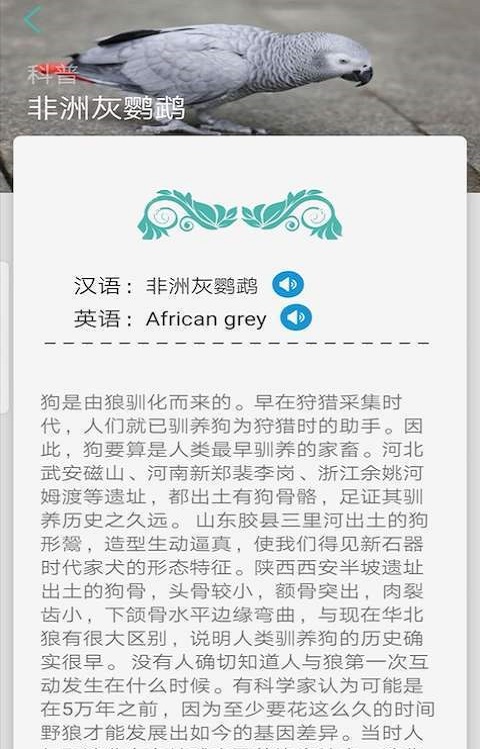 天天识别下载安装