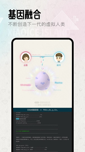 小冰岛2023