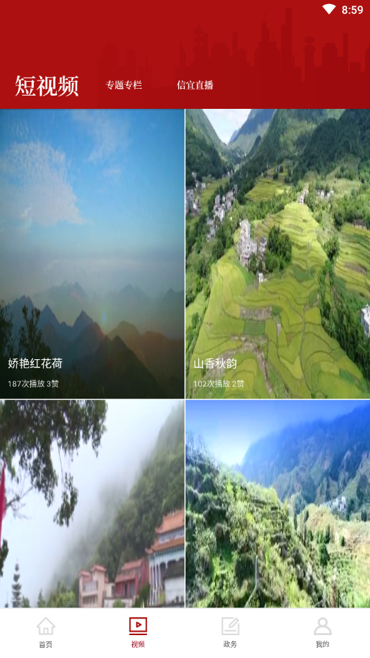 云端信宜