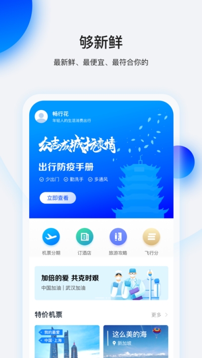 畅行花2024