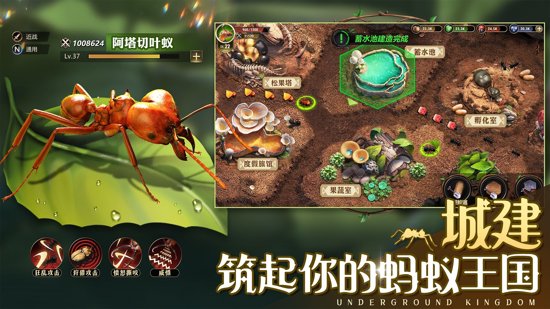 小小蚁国破解版  v1.34.0图3