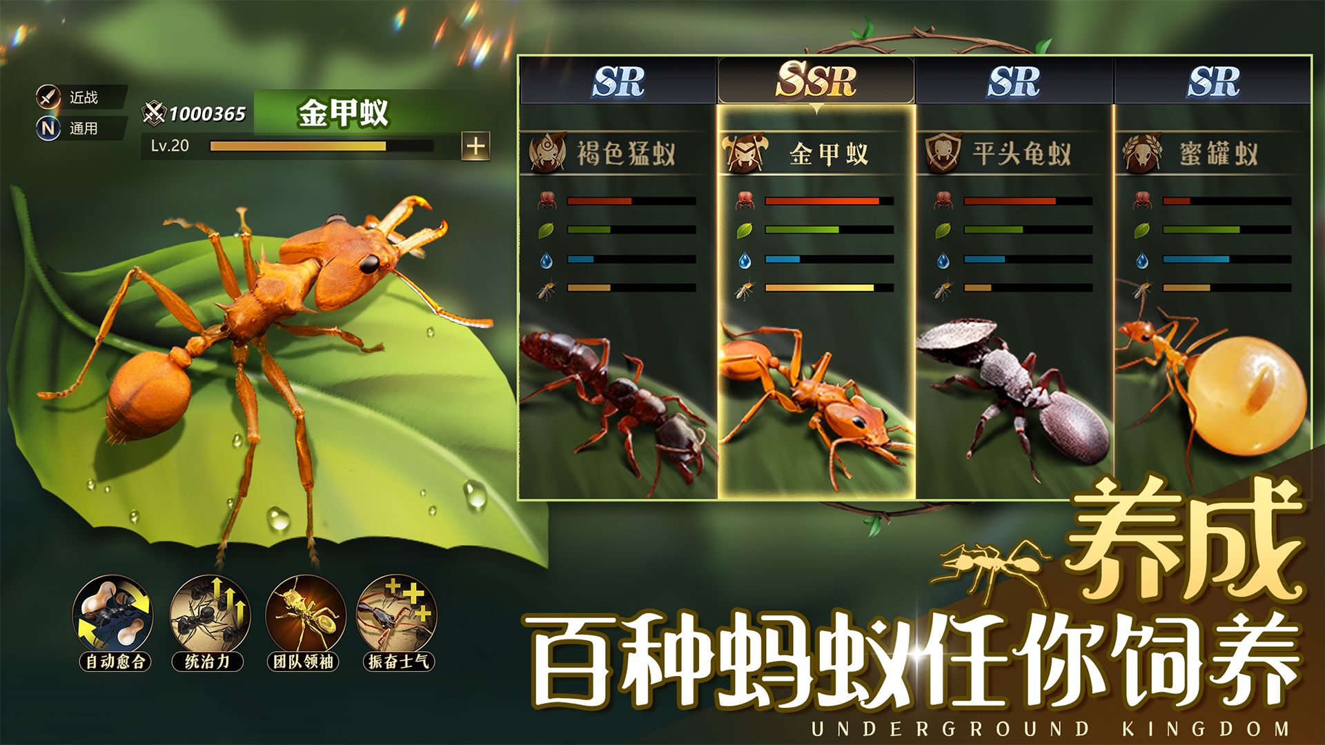 小小蚁国破解版