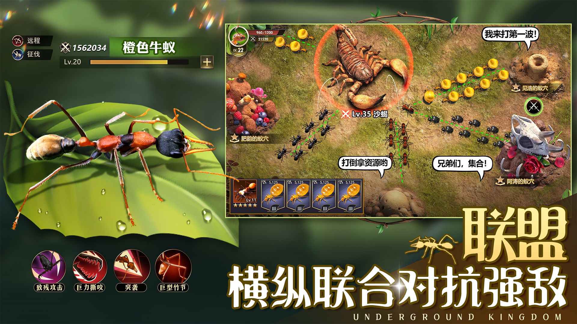 小小蚁国破解版  v1.34.0图1