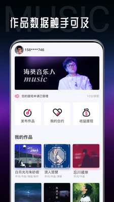 海葵分贝2023