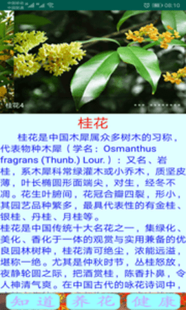 绿植花卉2023