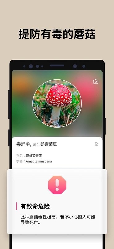 蘑菇识别手机版