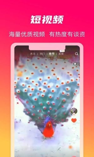 火晶星球安卓版下载