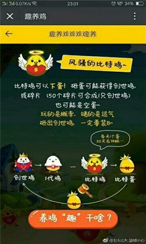 趣养鸡免费版  v1.0.1图1