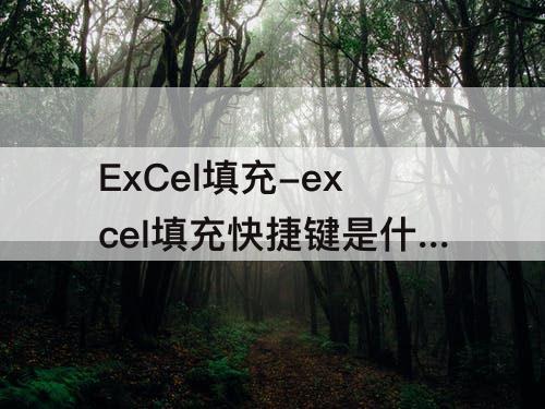 ExCel填充-excel填充快捷键是什么