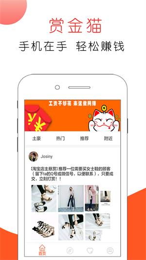 赏金猫手机版  v3.0图1