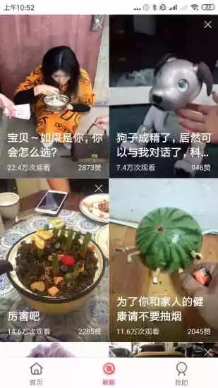 红点视频手机版