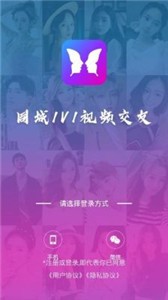 迷蝶交友app