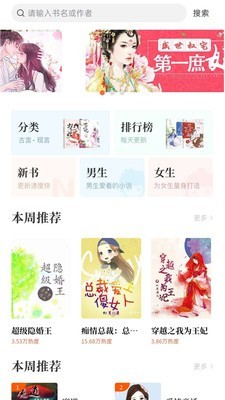 猫爪小说
