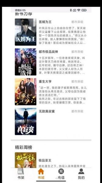 知己小说下载