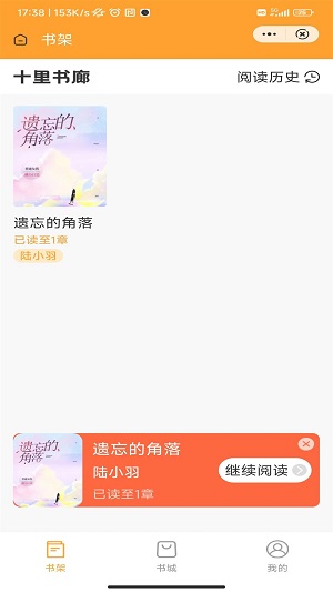 十里书廊小说在线阅读  v1.0图1