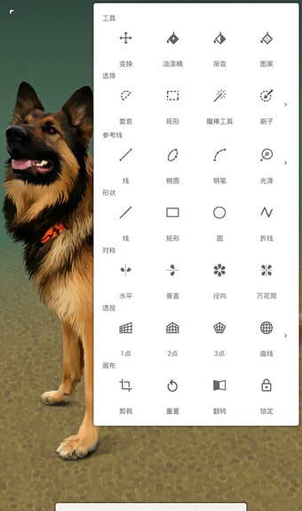 Painter软件app