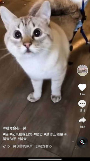 全民刷短剧app  v2.8.3图1