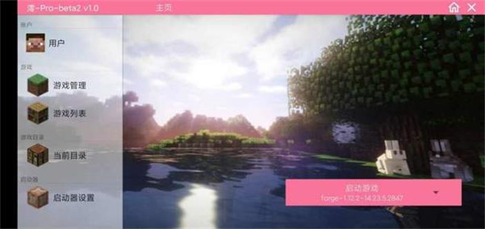 澪pro神奇宝贝整合包珠子  v1.0图2