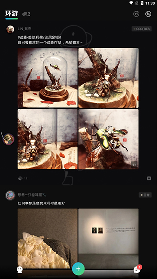 薇薇安与魔法之岛安卓版  v0.2.6.192图1