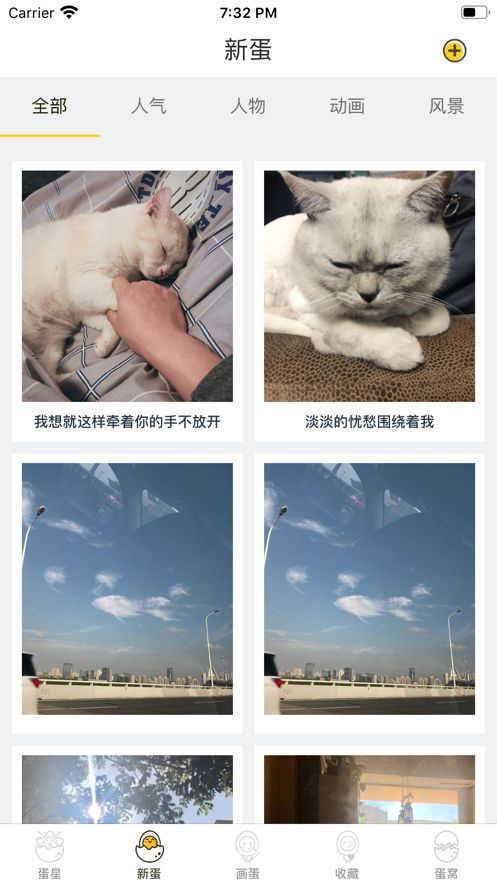 画蛋交友app