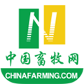 地下城与勇士M韩服