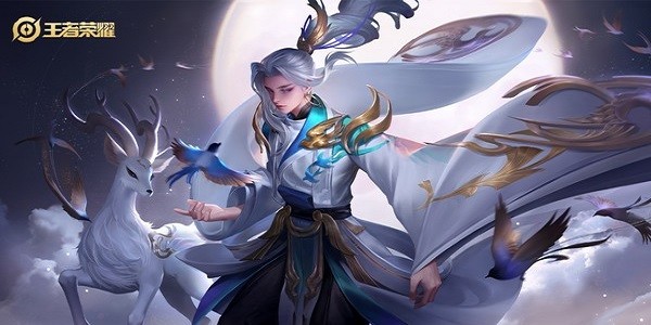 王者荣耀ray辅助安卓版