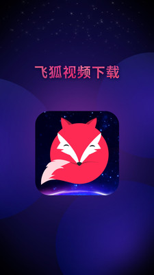 飞狐视频下载器最新版  v3.5.0图3