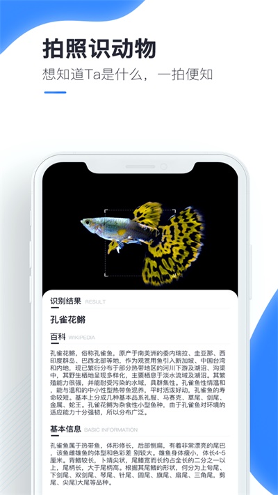 百科扫描王免费下载安装到手机上  v1.0.0图1